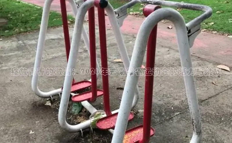 运达娱乐
